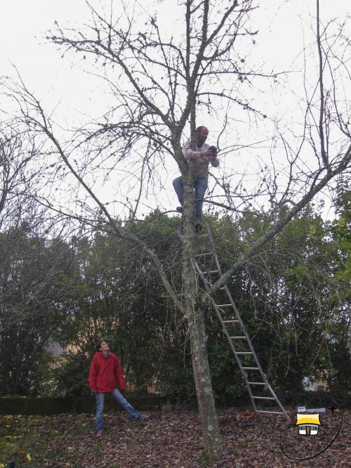 Matinée travaux du 26 novembre